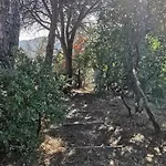 Mame 3* Беттона