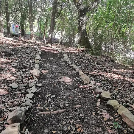 فندق مبيت وإفطار Mame 3*