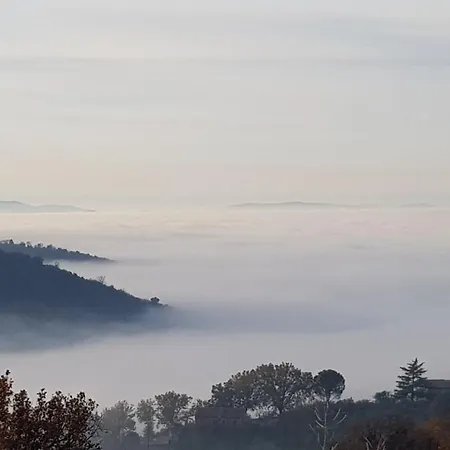 Mame 3* بيتونا