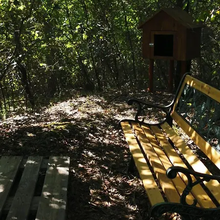 Mame 3* بيتونا