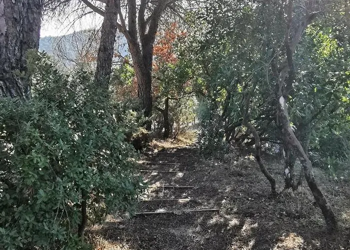 Mame 3* Беттона