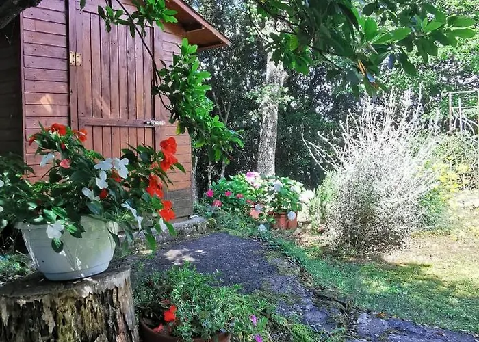 Mame Bed & Breakfast